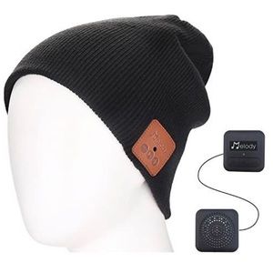 NWT Beanie aka Toque with Bluetooth Headphones!